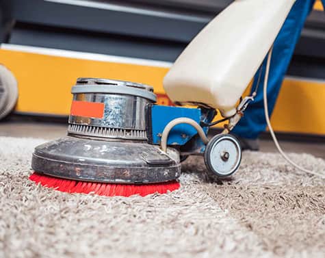 Rug Cleaning Services in Brophys Crossing